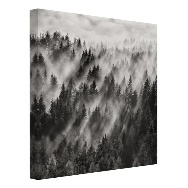 Leinwandbilder schwarz-weiß Lichtstrahlen im Nadelwald