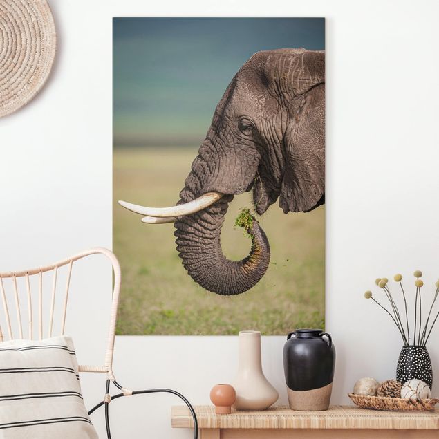 Elefant Leinwand Elefantenfütterung Afrika