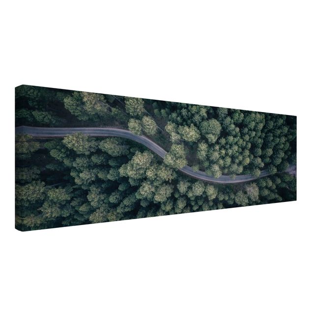 Leinwand Natur Luftbild - Waldstraße von Oben
