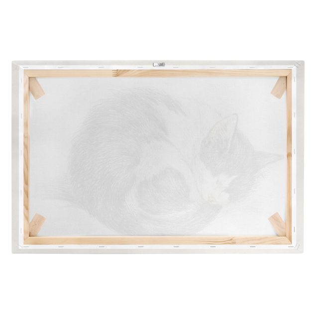 Wandbilder Schwarz-Weiß Vintage Zeichnung Katze II
