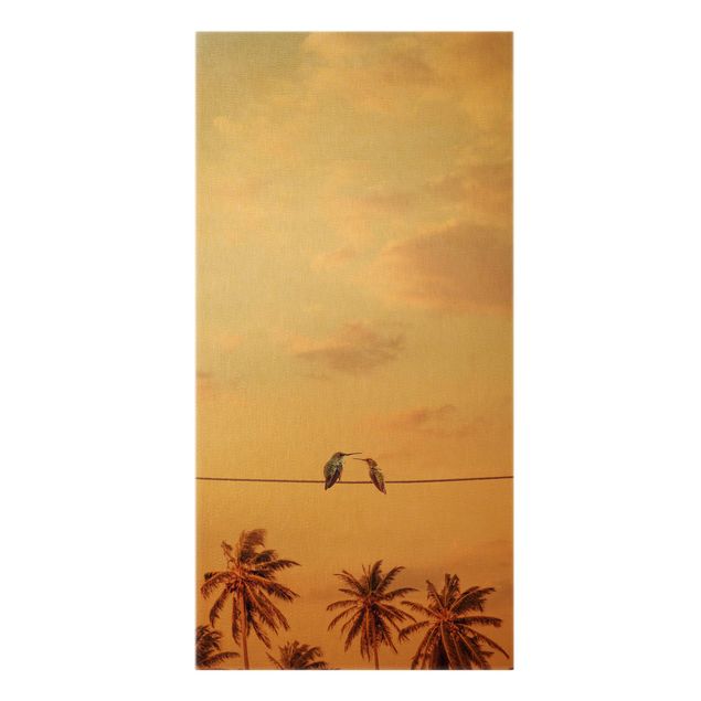 Kunstdruck Leinwand Sonnenuntergang mit Kolibris