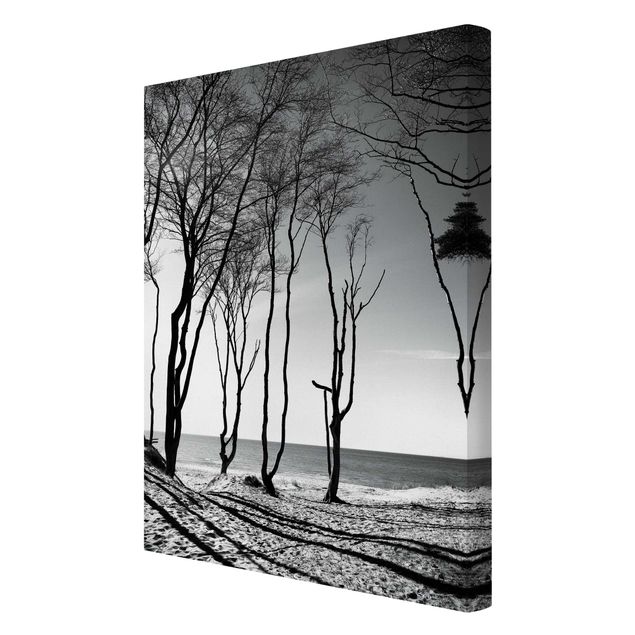Leinwandbilder schwarz-weiß Bäume an der Ostsee