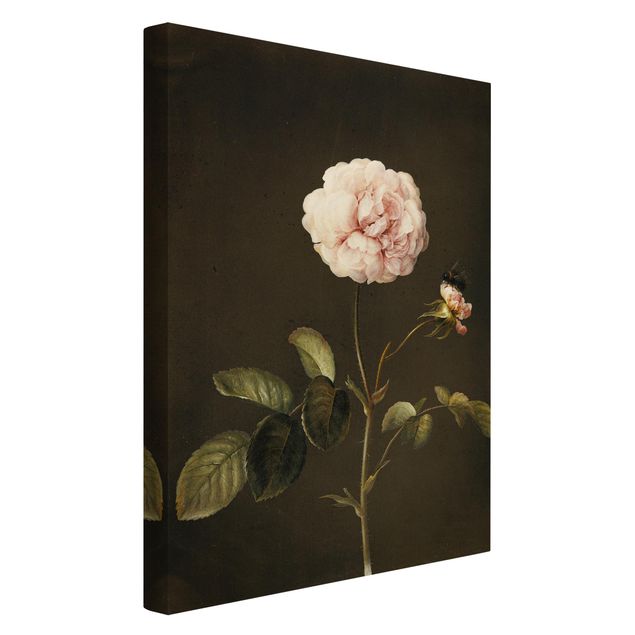 Blumenbilder auf Leinwand Barbara Regina Dietzsch - Essig-Rose mit Hummel