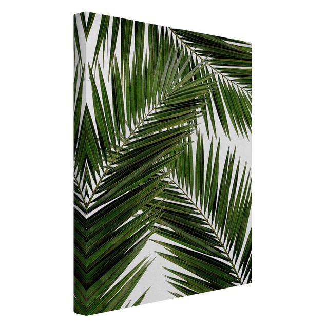 Wandbilder Floral Blick durch grüne Palmenblätter