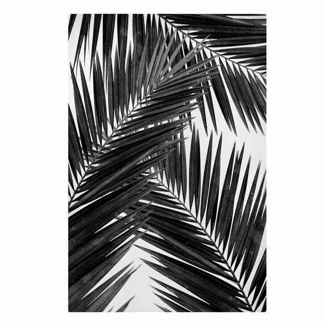 Wandbilder Floral Blick durch Palmenblätter schwarz weiß