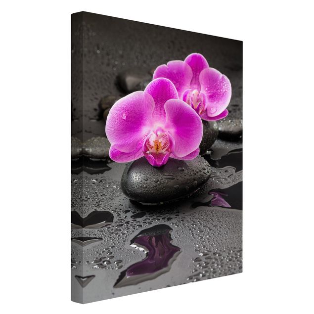 Bilder mit Steinen auf Leinwand Pinke Orchideenblüten auf Steinen mit Tropfen