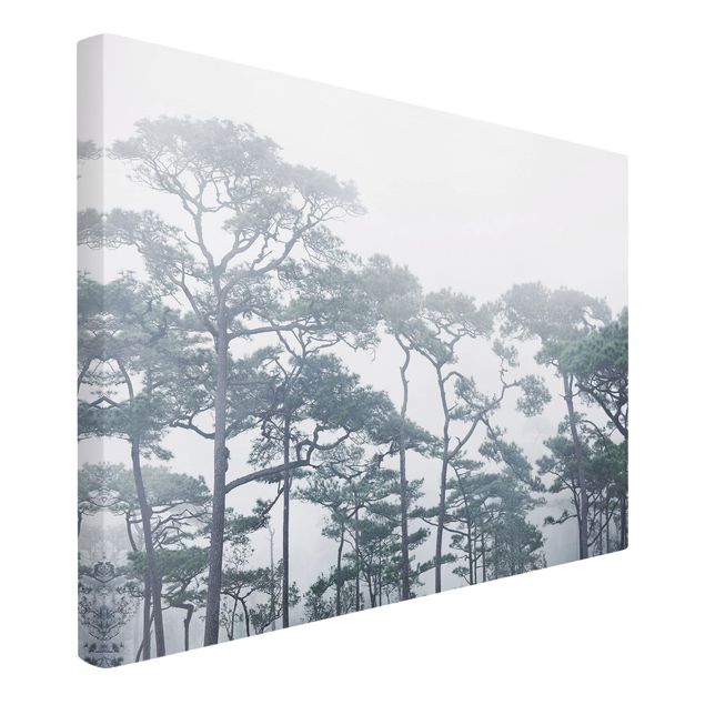 Leinwand Natur Baumkronen im Nebel