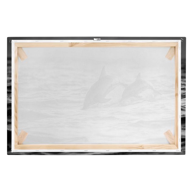 Wandbilder Schwarz-Weiß Zwei springende Delfine
