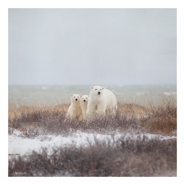 Wandbilder Tiere Eisbärin und ihre Jungen