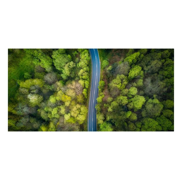 Leinwandbilder Wald Luftbild - Asphaltstraße im Wald