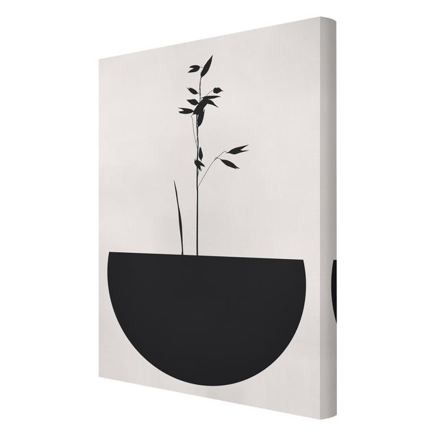 Wandbilder Schwarz-Weiß Grafische Pflanzenwelt - Zartes Wachstum