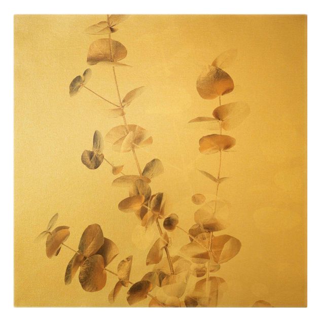 Bilder Goldene Eukalyptuszweige mit Weiß