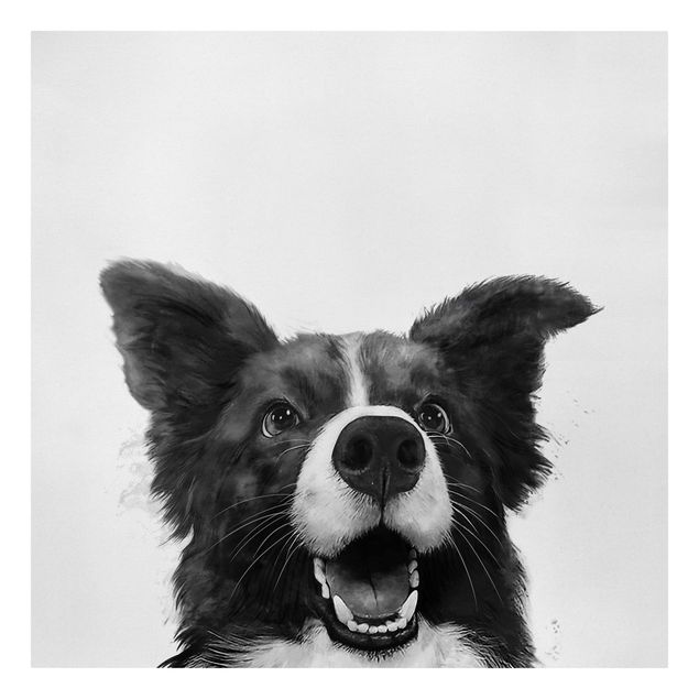 Leinwand schwarz-weiß Illustration Hund Border Collie Schwarz Weiß Malerei