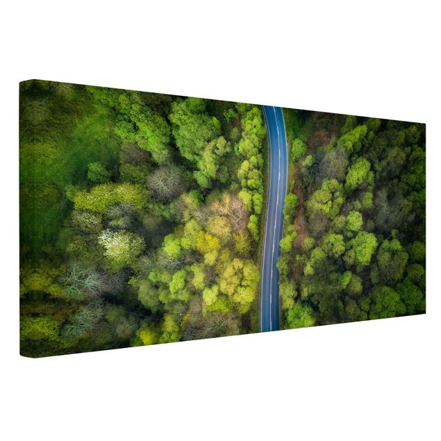 Leinwandbilder Naturmotive Luftbild - Asphaltstraße im Wald
