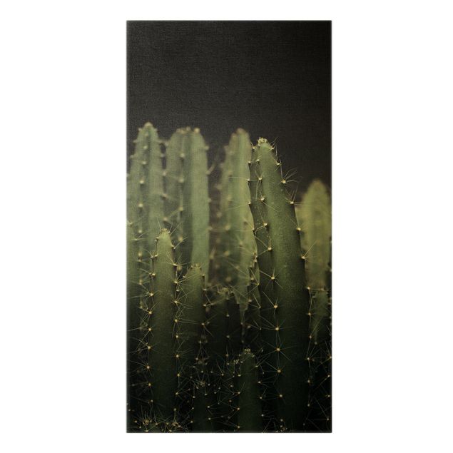 Wandbilder Modern Wüstenkaktus bei Nacht