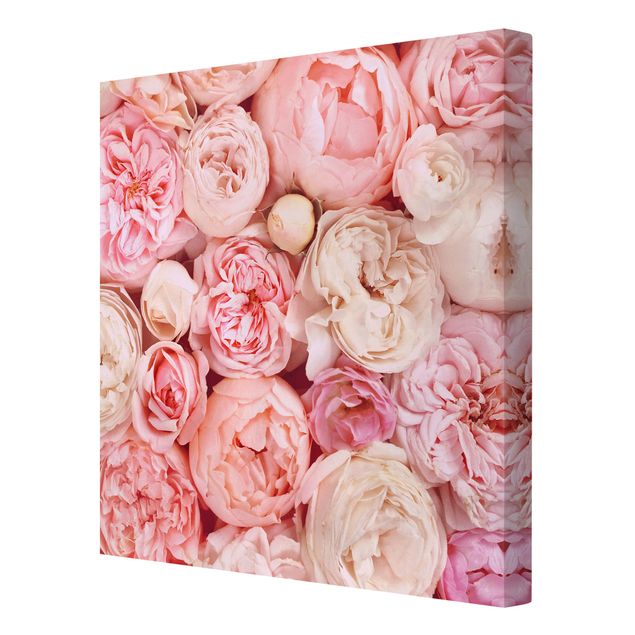 schöne Bilder Rosen Rosé Koralle Shabby