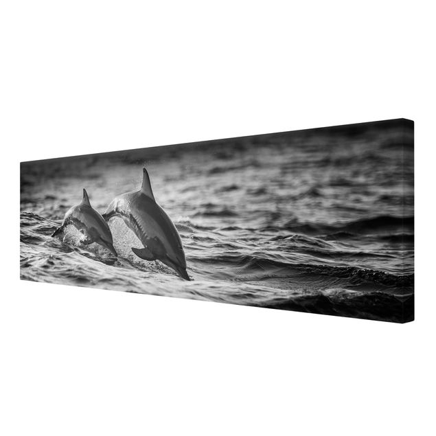 Wandbilder Modern Zwei springende Delfine