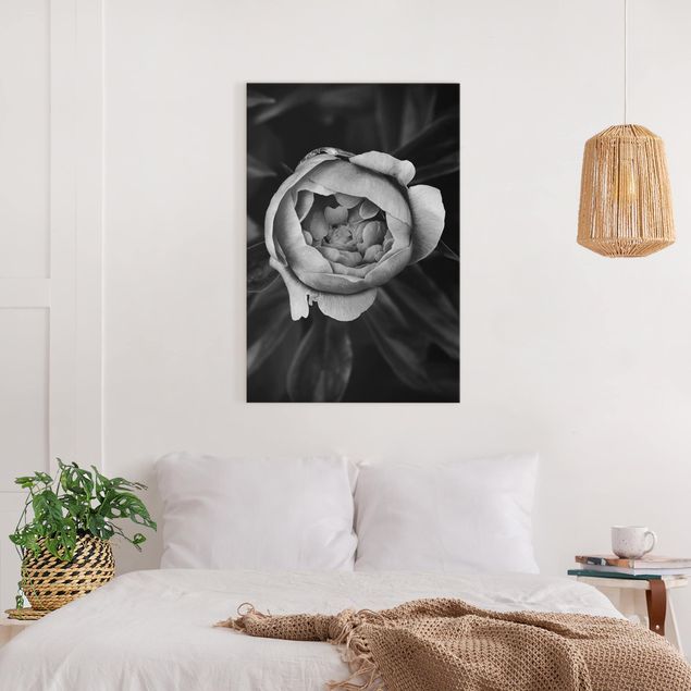 Rosen Bilder auf Leinwand Pfingstrosenblüte vor Blättern Schwarz Weiß