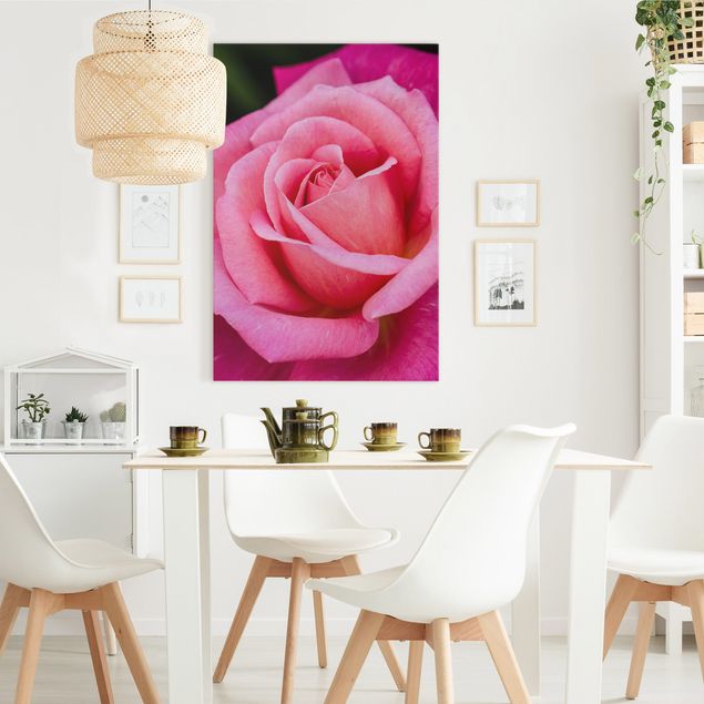 Leinwandbild Rose Pinke Rosenblüte vor Grün