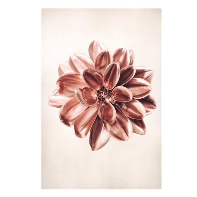 Wandbilder Blumen Dahlie Rosegold Metallic Rosa