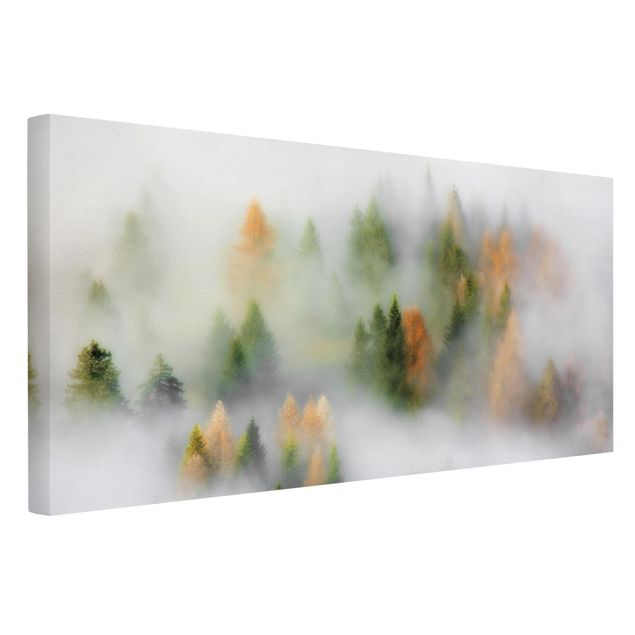 Natur Leinwand Nebelwald im Herbst