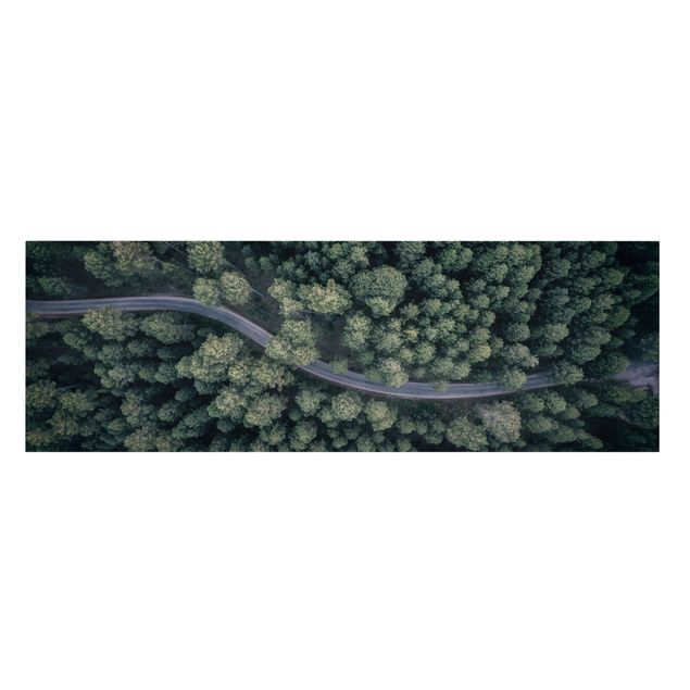 Leinwandbild Wald Luftbild - Waldstraße von Oben