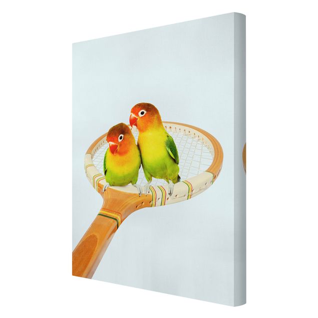 Leinwandbilder Tiere Tennis mit Vögeln