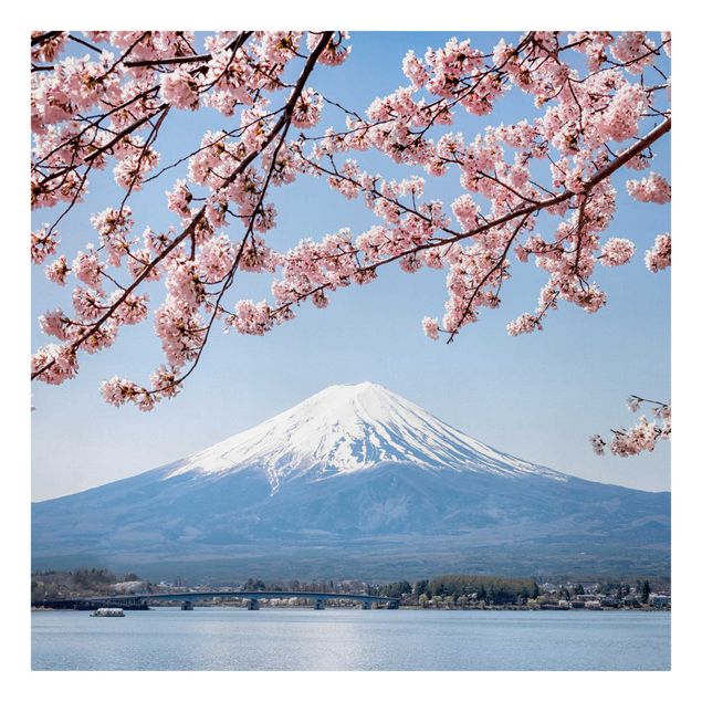 Wandbilder Berge Kirschblüten mit Berg Fuji