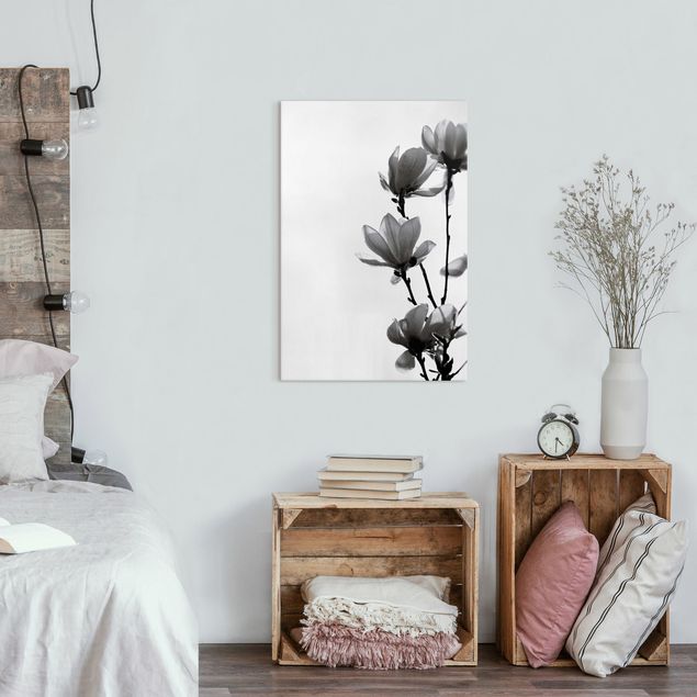 schwarz-weiß Bilder auf Leinwand Frühlingsbote Magnolie Schwarz Weiß