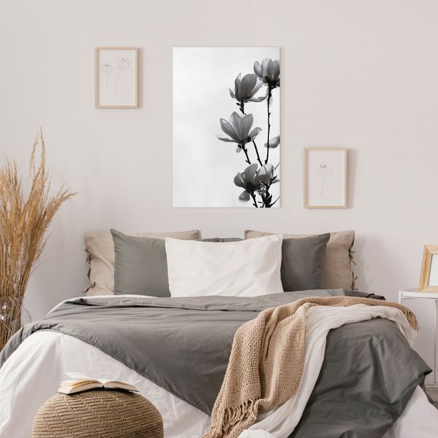 Blumenbilder auf Leinwand Frühlingsbote Magnolie Schwarz Weiß