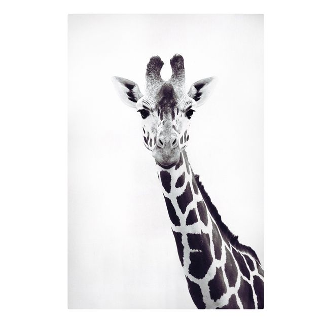 Tierbilder Leinwand Giraffen Portrait in Schwarz-weiß