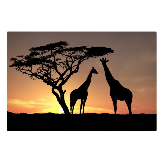 Wandbilder Giraffen African Sunset