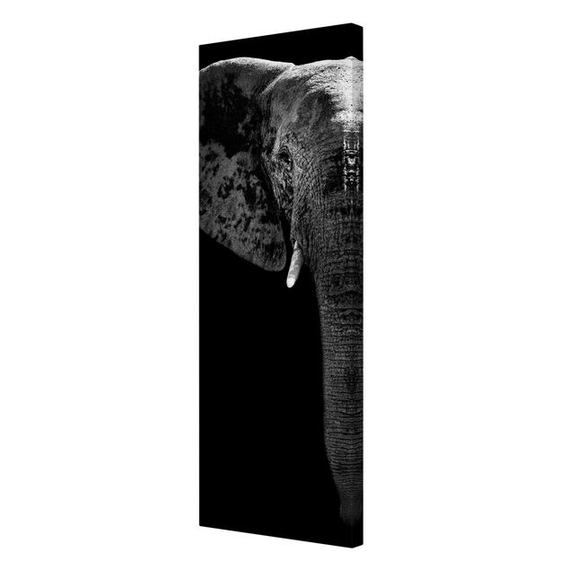 Leinwandbilder Tiere Afrikanischer Elefant schwarz-weiß
