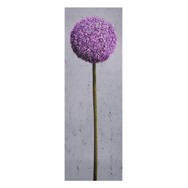 Bilder Allium Kugel-Blüten