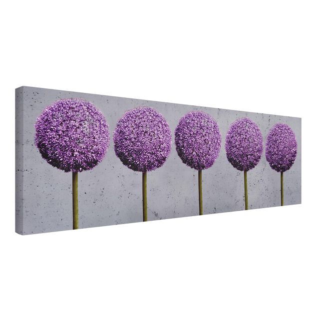 Wandbilder Blumen Allium Kugel-Blüten