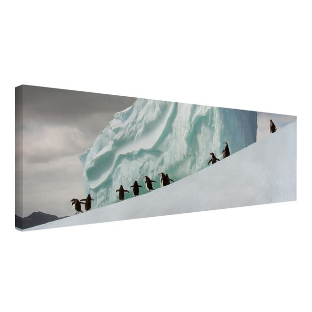 Wandbilder Landschaften Arctic Penguins