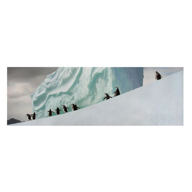 Natur Leinwand Arctic Penguins