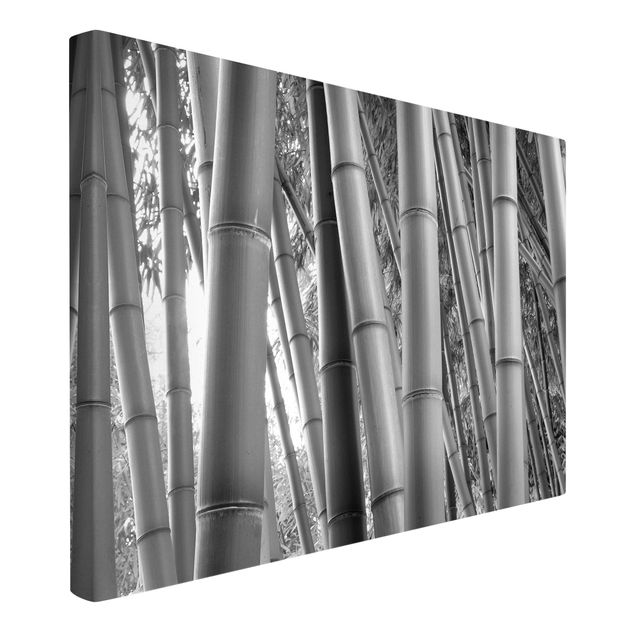 Wandbilder Bambus Bamboo
