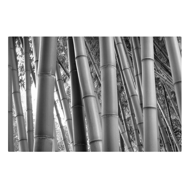 Wandbilder Landschaften Bamboo