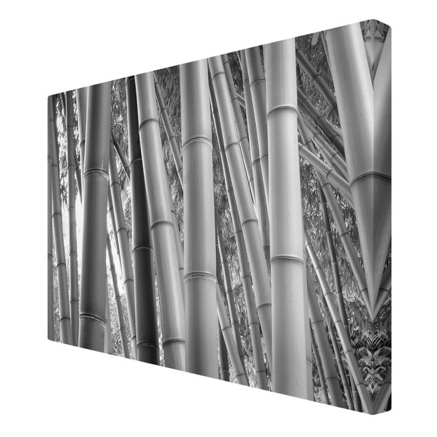 Leinwandbilder Blumen Bamboo