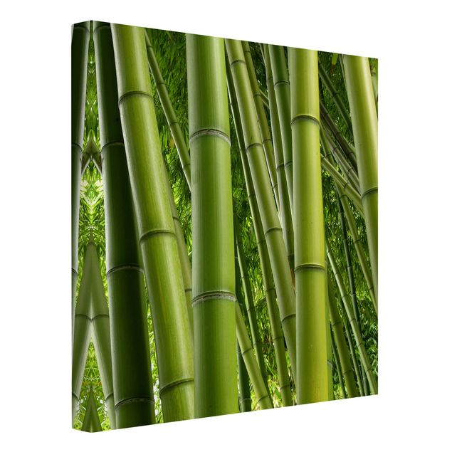Wandbilder Bambus Bamboo Trees
