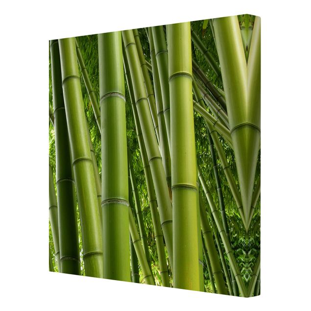 Leinwand Natur Bamboo Trees