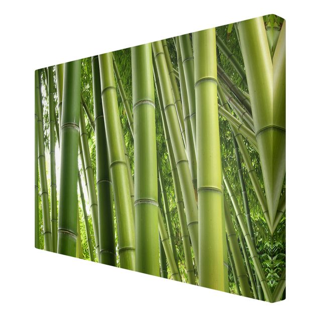 Leinwandbilder Naturmotive Bamboo Trees