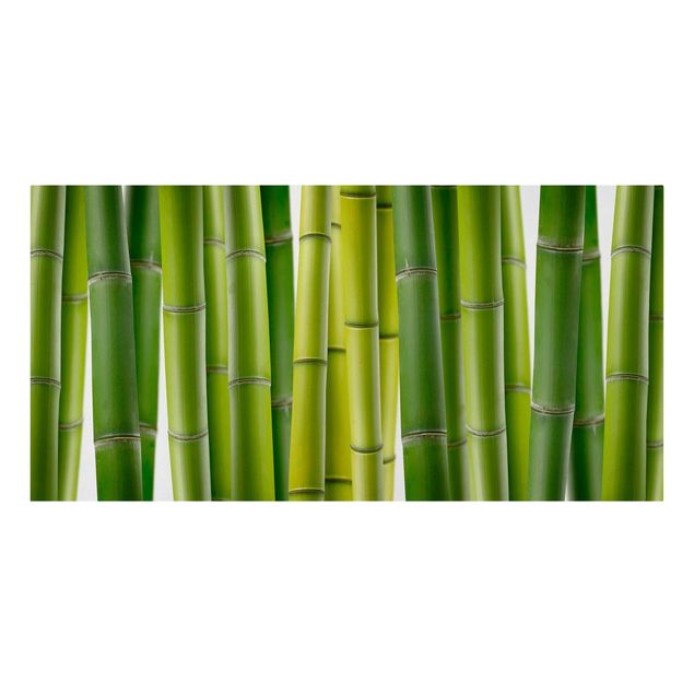 Wandbilder Landschaften Bambuspflanzen