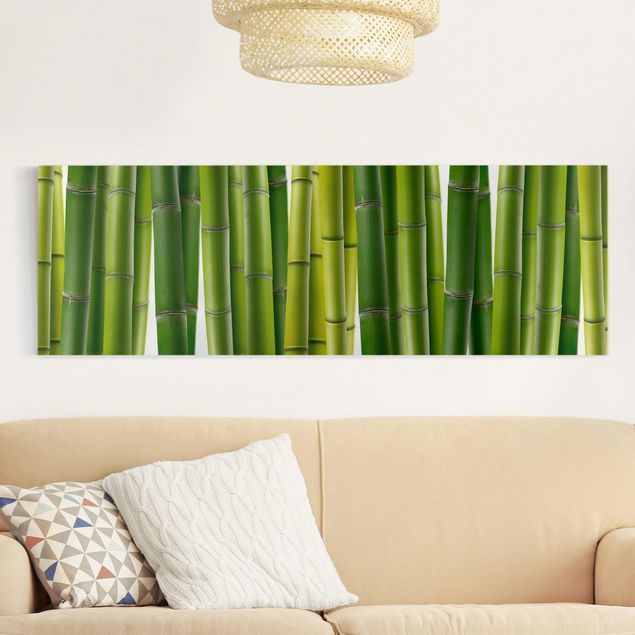Leiwandbild Bambus Bambuspflanzen