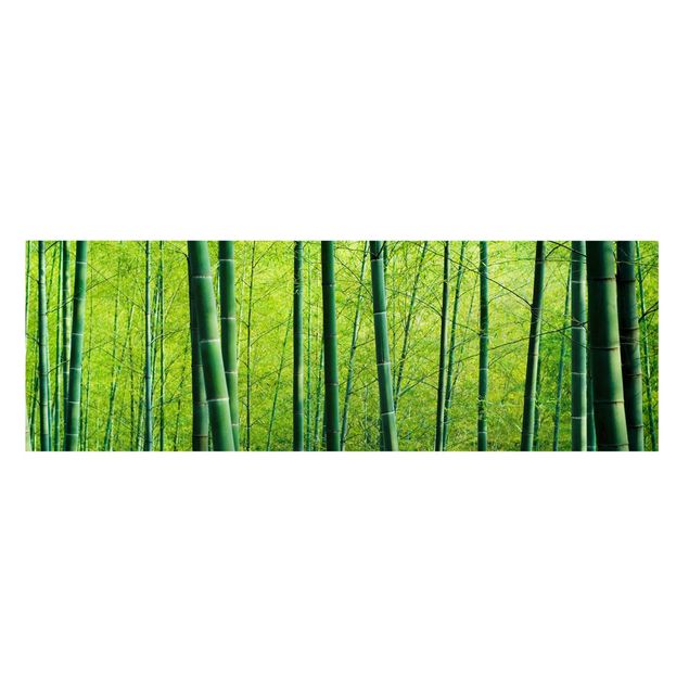 Wandbilder Landschaften Bambuswald No.2