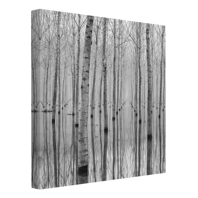 schwarz-weiß Bilder auf Leinwand Birken im November