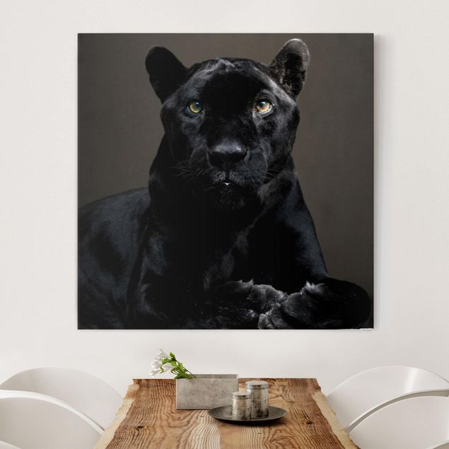 Wanddeko Küche Black Puma