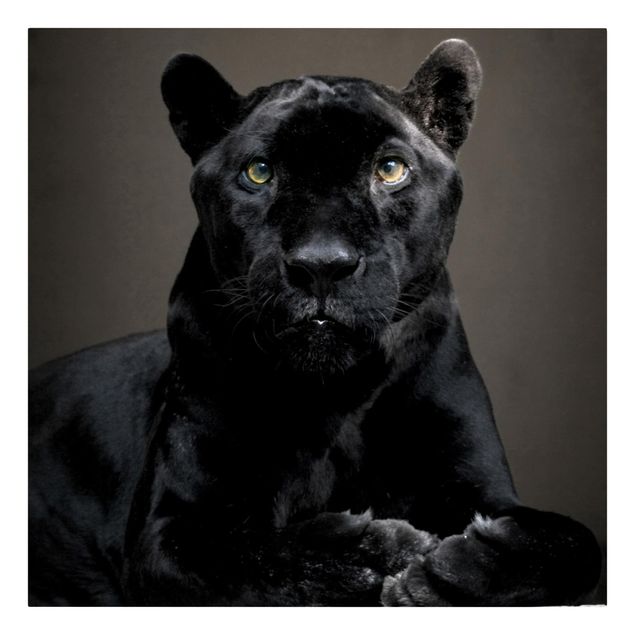 Wandbilder Modern Black Puma