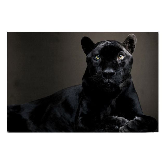 Wandbilder Modern Black Puma